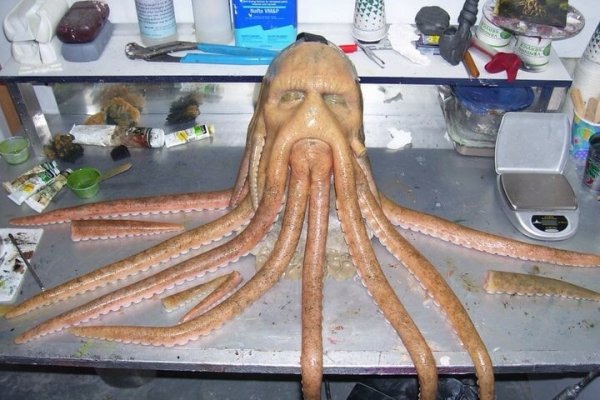 Kraken ссылка зеркало официальный